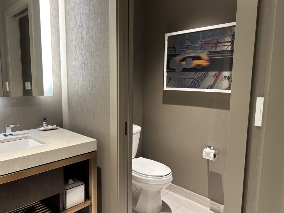 Zimmer Hyatt Regency JFK Airport at Resorts World New York