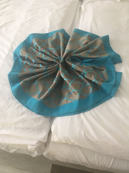 Zimmer Sentido Marea