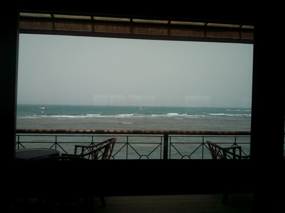 Ausblick Desert Rose