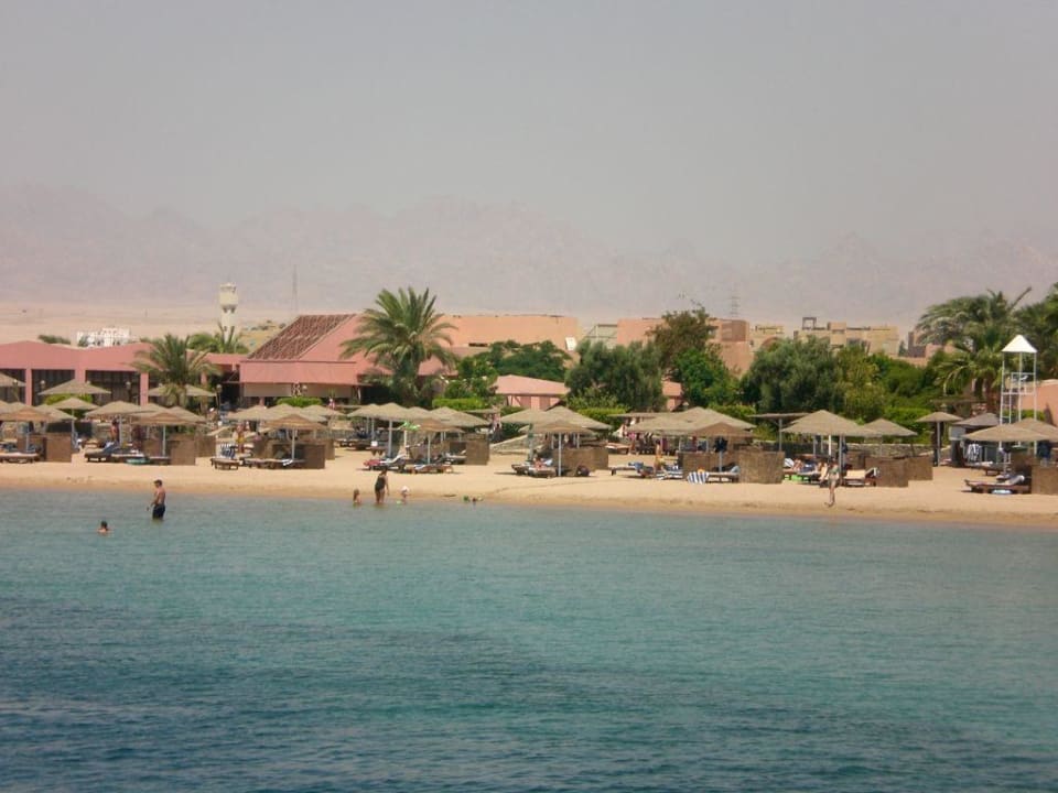 Strand Vormittags Eagles Paradise Abu Soma