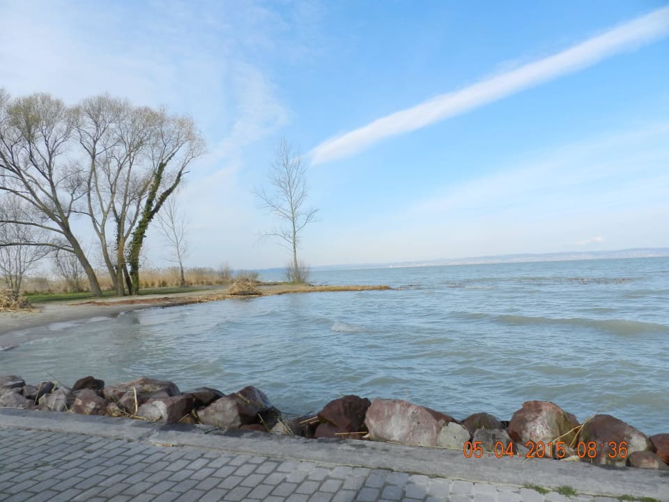 Blick zum See Hotel Azur