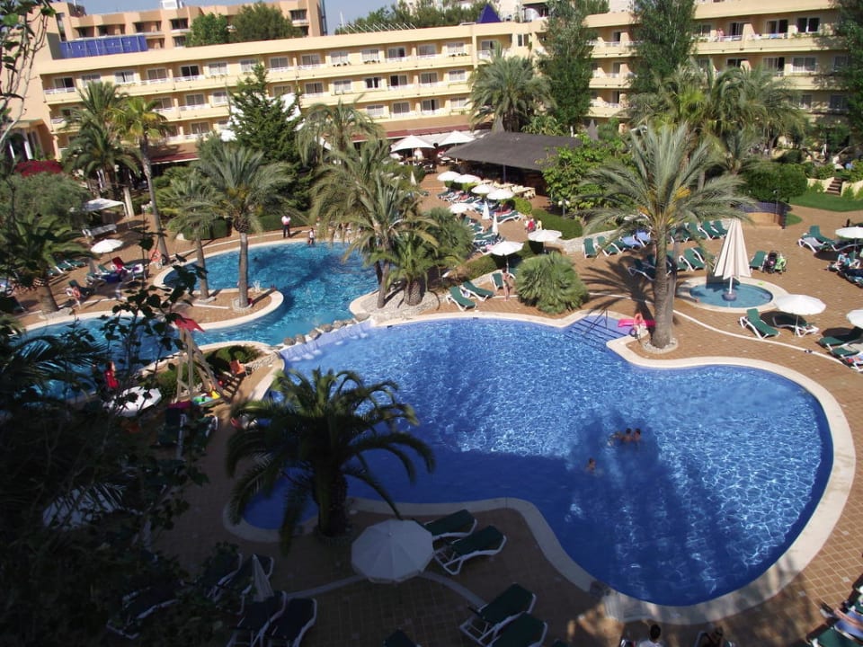 Poolbereich Zafiro Palmanova