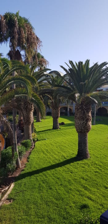 Gartenanlage Club Hotel Drago Park