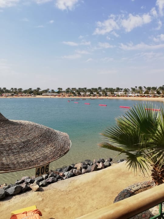 Ausblick Desert Rose