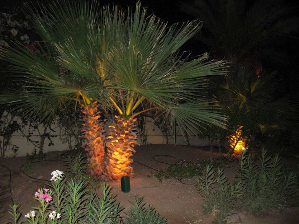 Hotel movenpick Mövenpick Resort & Spa El Gouna