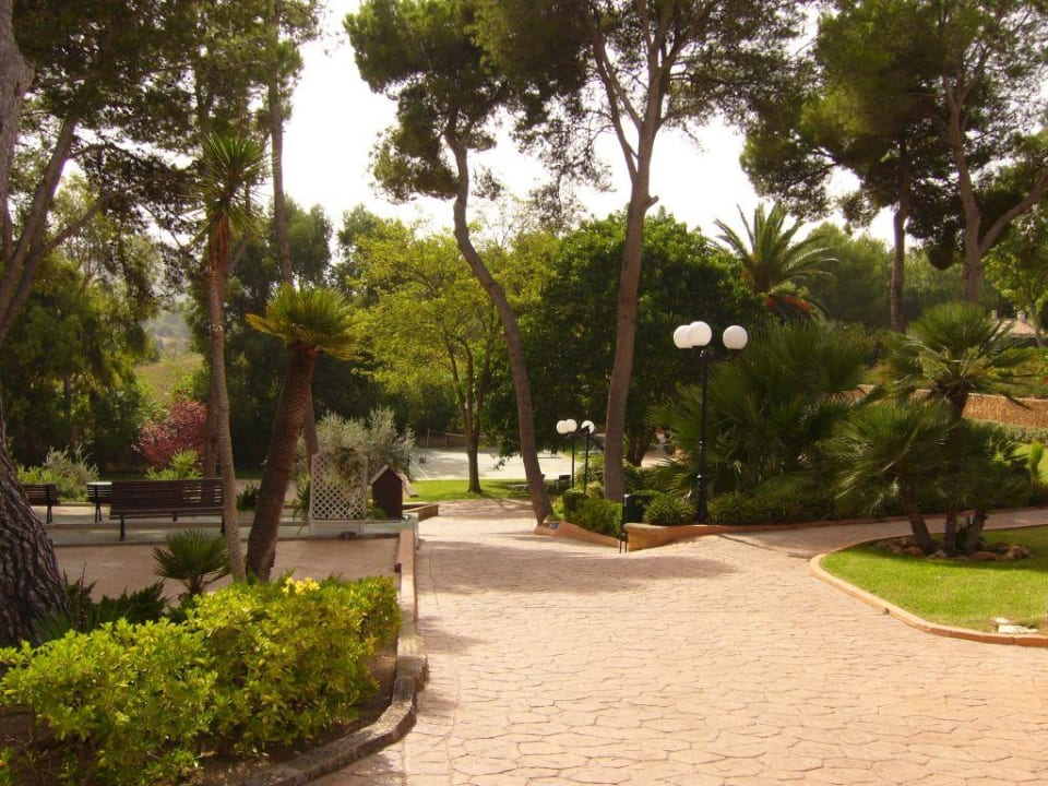 Gartenanlage Hotel Beach Club Font de Sa Cala
