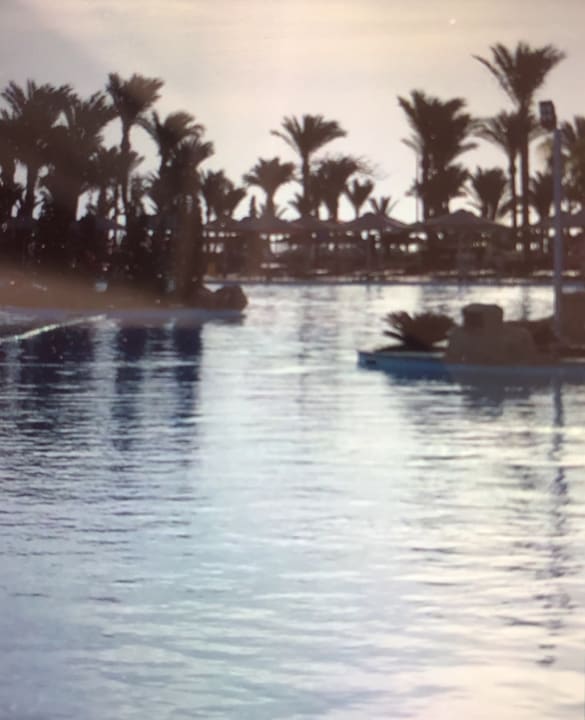 Pool Pickalbatros Palace Resort