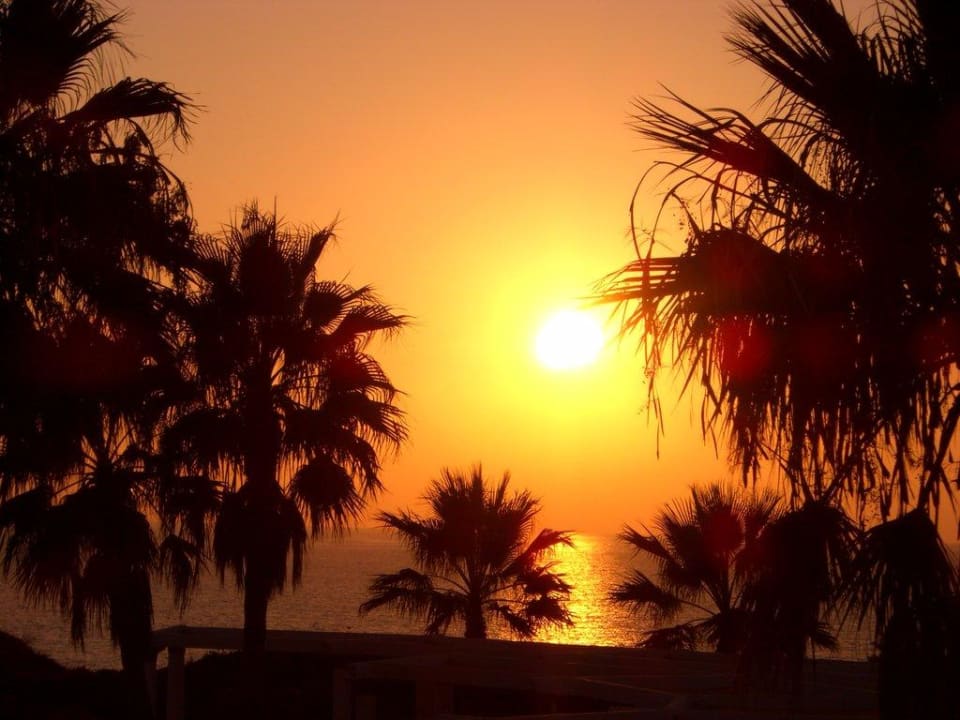 Einfach nur schön Aldiana Club Andalusien