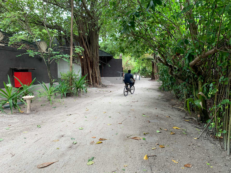Gartenanlage Adaaran Select Meedhupparu Island Resort - Premium All Inclusive