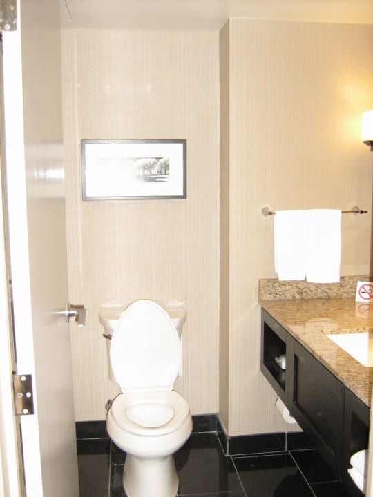 Zimmer Hotel Hilton Toronto