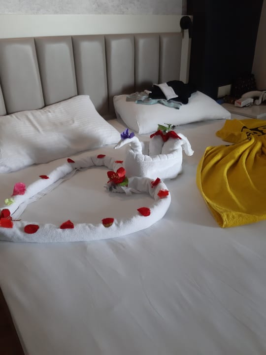 Zimmer Seaden Sea World Resort & Spa