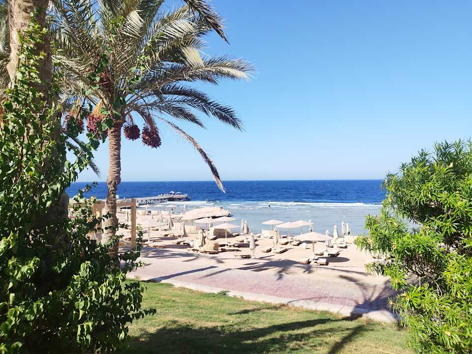 Strand Serenity Alpha Beach