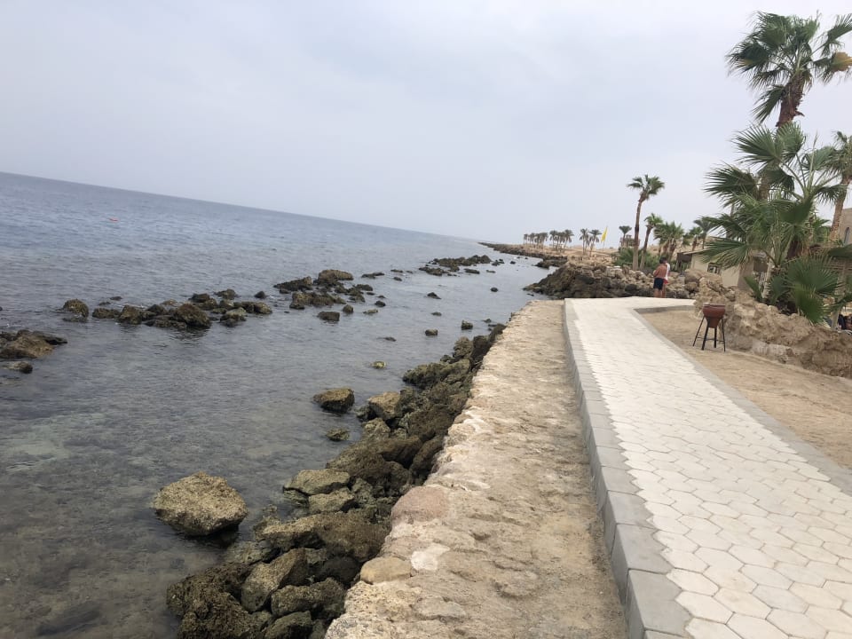 Ausblick Pickalbatros Citadel Resort