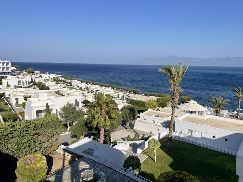 Ausblick Dimitra Beach Hotel & Suites