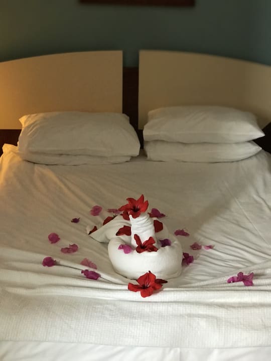 Zimmer Belek Beach Resort Hotel