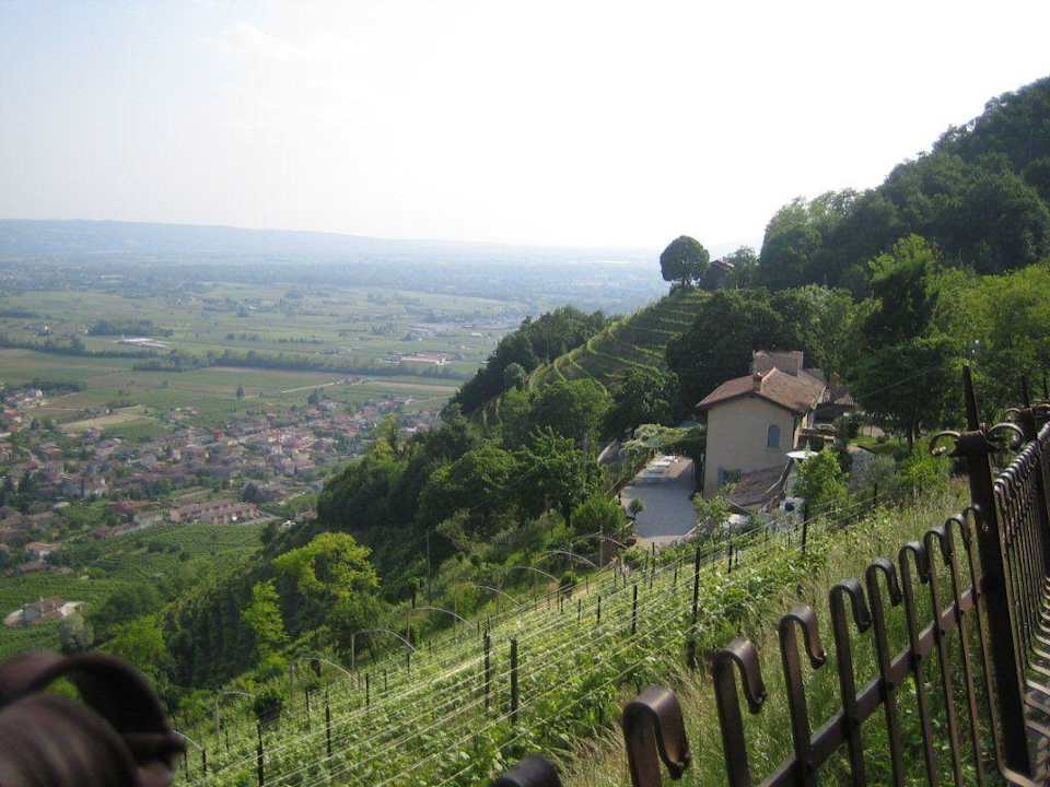 Blick vom Weinberg auf das Hotel Hotel Locanda La Candola