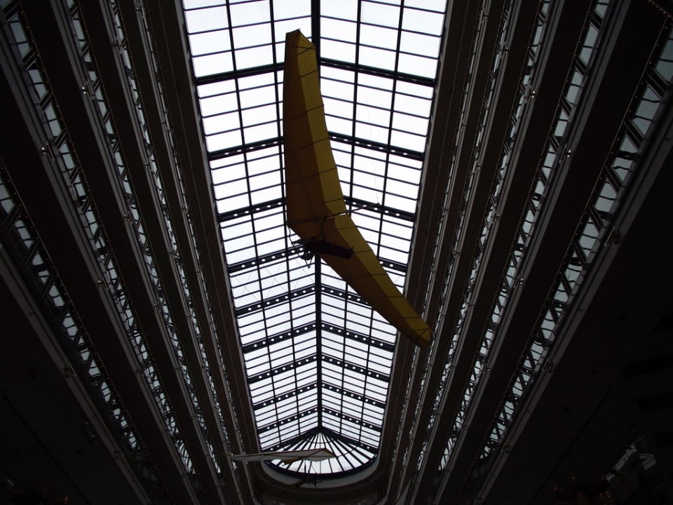 Dach in der Eingangshalle Maritim Airport Hotel Hannover