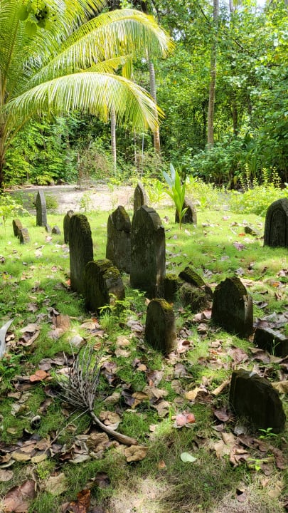 Gartenanlage Filitheyo Island Resort