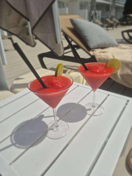 Gastro The Ibiza Twiins