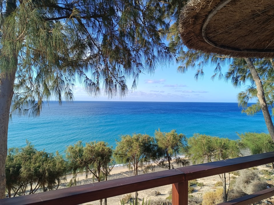 Ausblick Marina Playa Suite Hotel