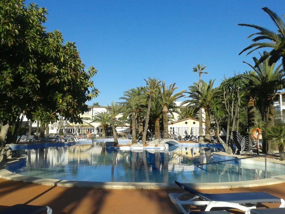 Das hatten wir gebucht Alcudia Garden Aparthotel