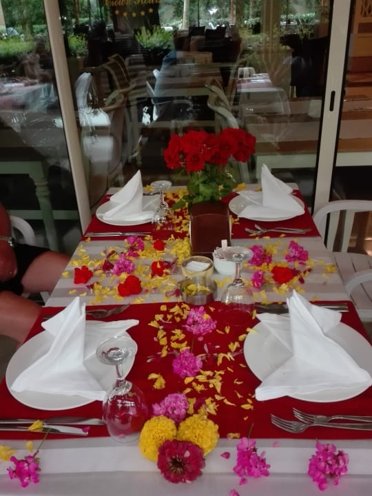 Gastro Well Palace Side