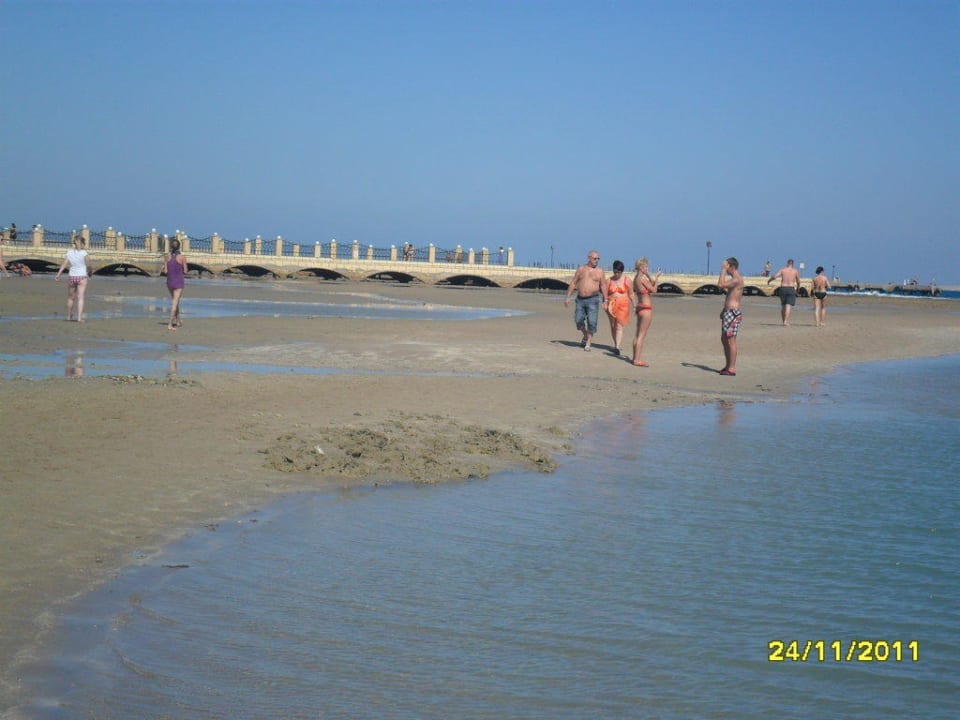 Strand bei Ebbe Pickalbatros Dana Beach Resort - Hurghada