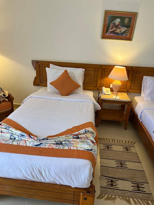 Zimmer Three Corners Fayrouz Plaza Beach Resort