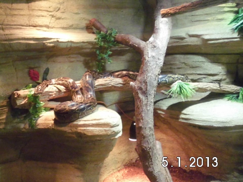 Dschungel Park Ferienwohnungen Ferienpark Weissenhäuser Strand