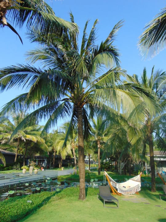 Gartenanlage Novotel Phu Quoc Resort