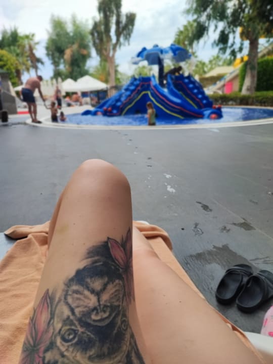 Pool Hotel Botanik Platinum