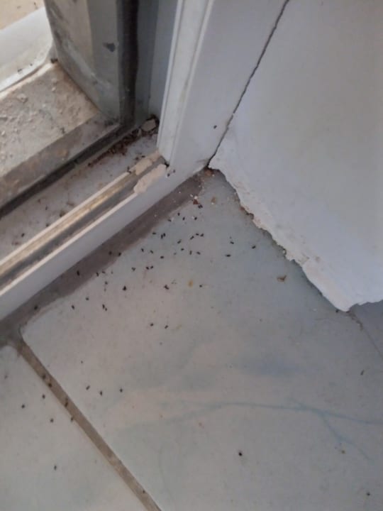 Zimmer Side Tuana Garden Home