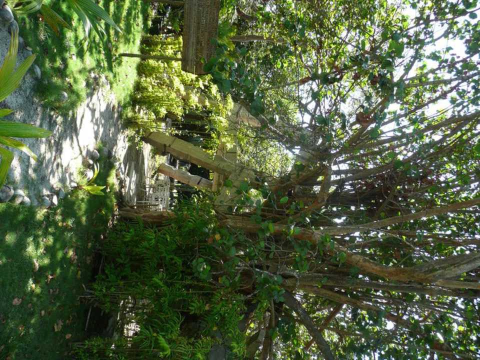 Riesengroß & wunderschön Melia Las Antillas - Adults only