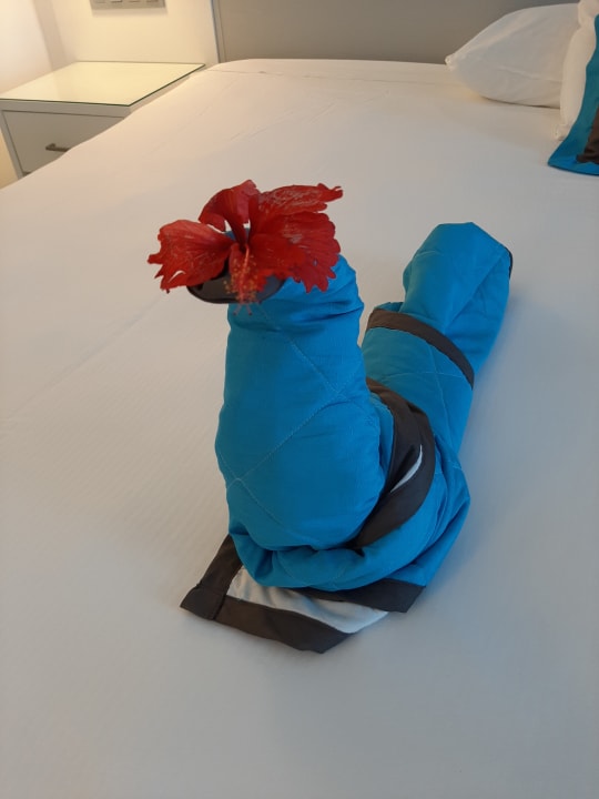 Zimmer Hotel Riu Republica - Adults only