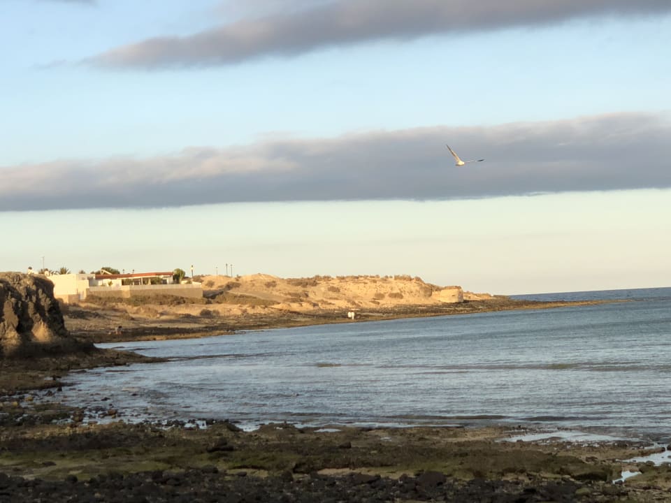 Strand SBH Fuerteventura Playa