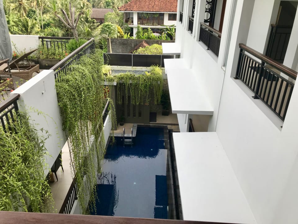 Pool Puri Padma Hotel