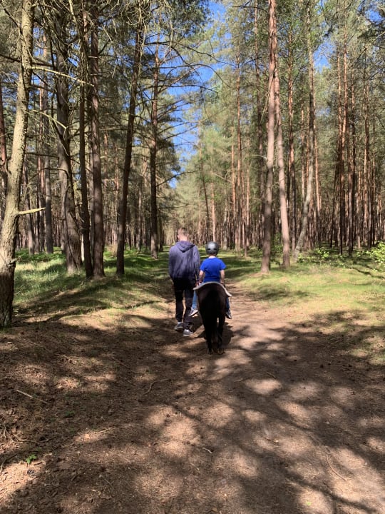 Sport & Freizeit Familotel Borchard's Rookhus am See