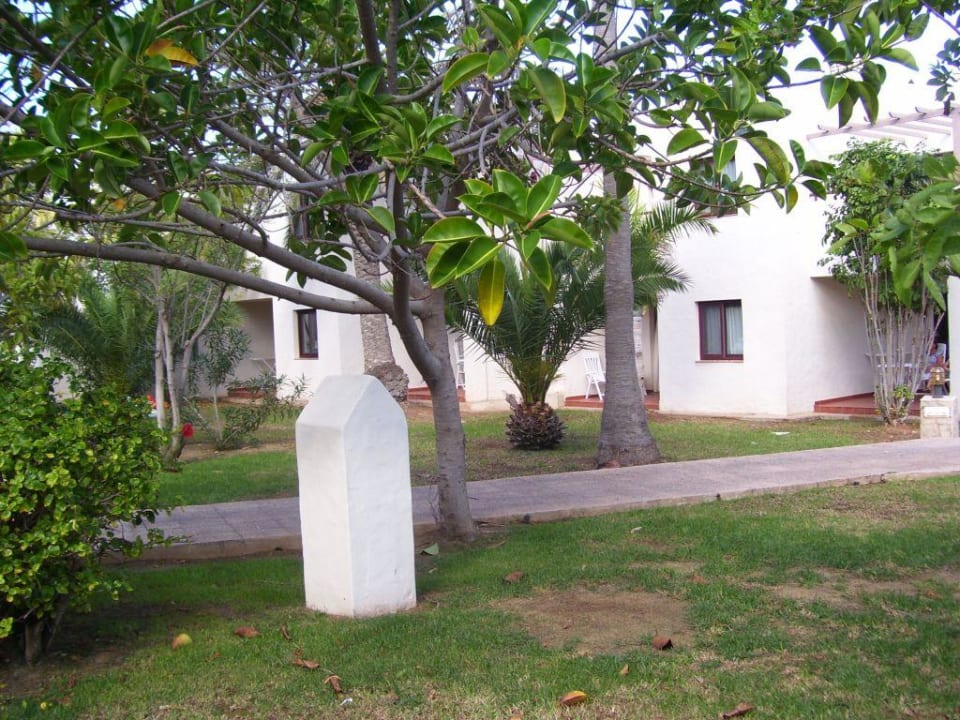Garten Alua Suites Fuerteventura