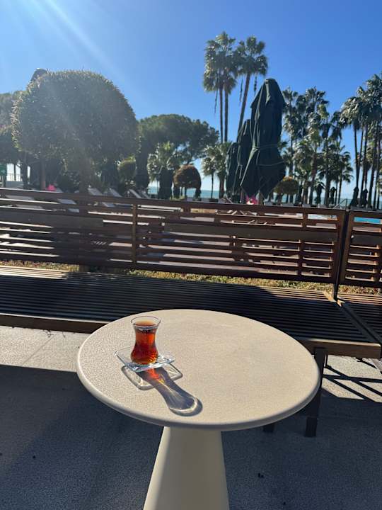 Pool Acanthus Cennet Barut Collection