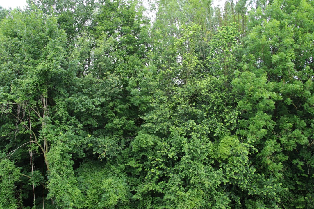 Ausblick aus dem Zimmer B&B Hotel München-Airport