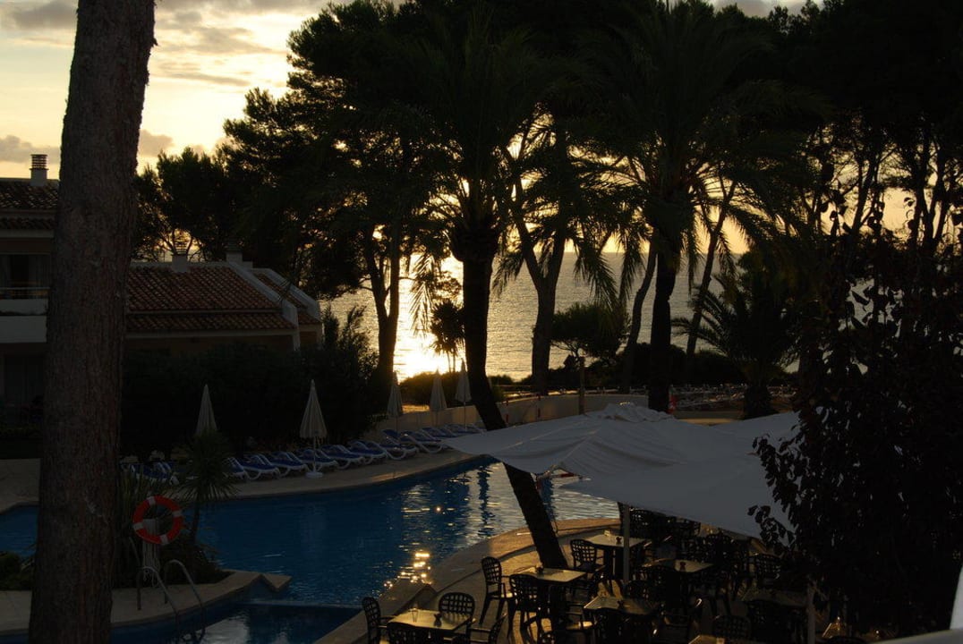 Wundervoller Sonnenaufgang Iberostar Waves Pinos Park
