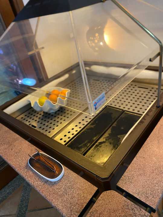 Gastro Hotel Resort & Spa Baia Caddinas