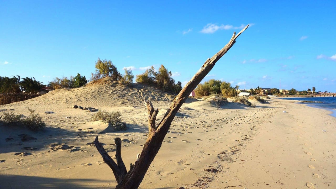 Strand Shams Alam Beach Resort