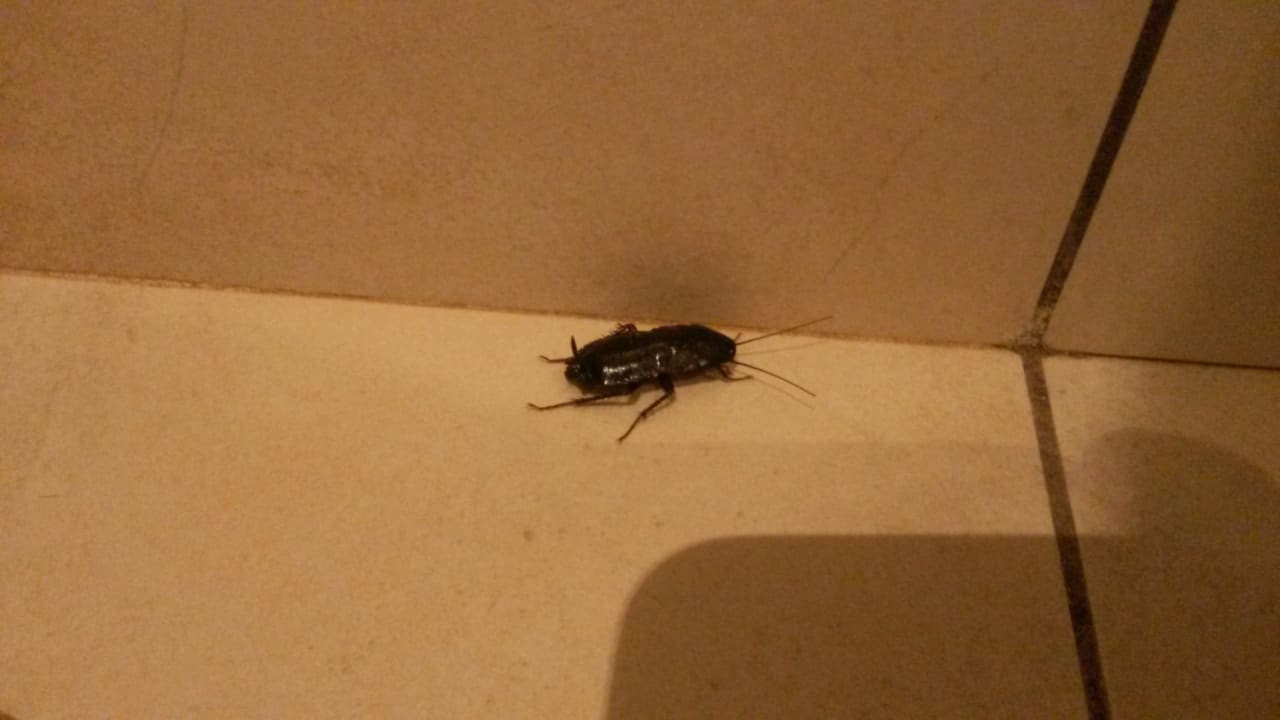 Zimmer Hotel Raganelli