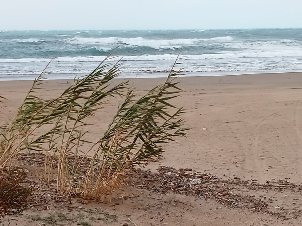 Strand Grand Seker Hotel