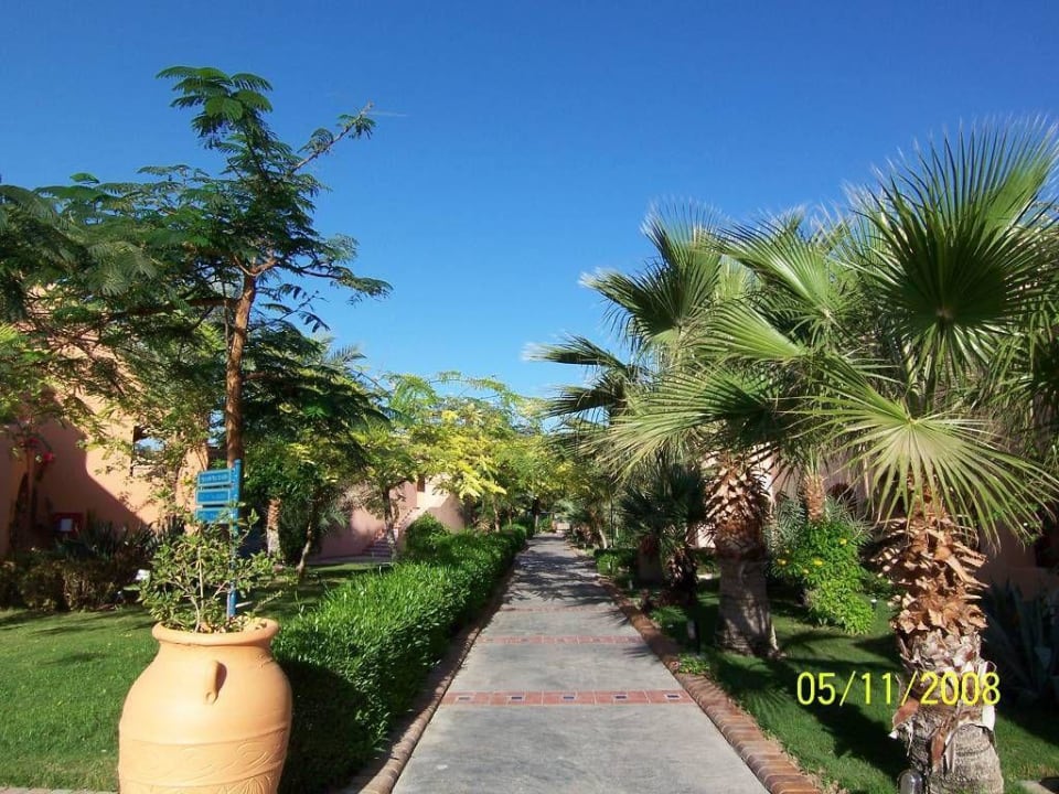 Gartenanlage Jaz Makadi Oasis Resort