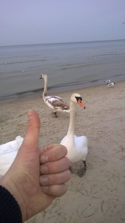 Ca. 300m vom Hotel Hotel Cis