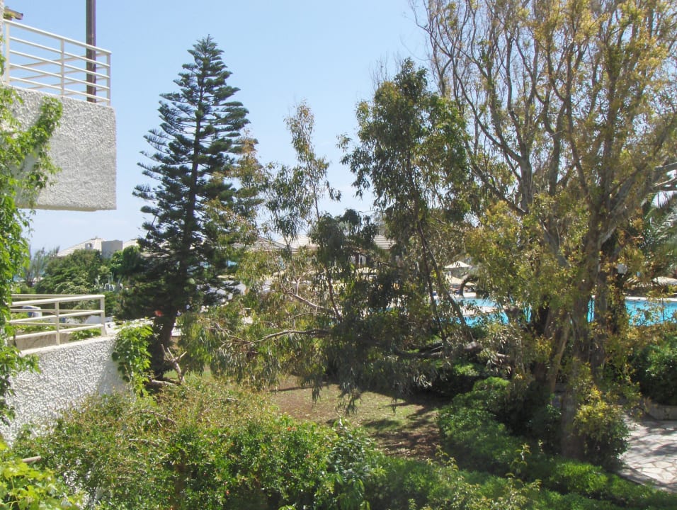 Garten Apollonia Beach Resort & Spa