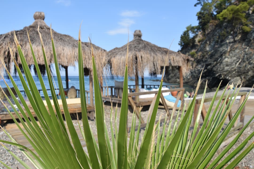 Strand ROBINSON ÇAMYUVA