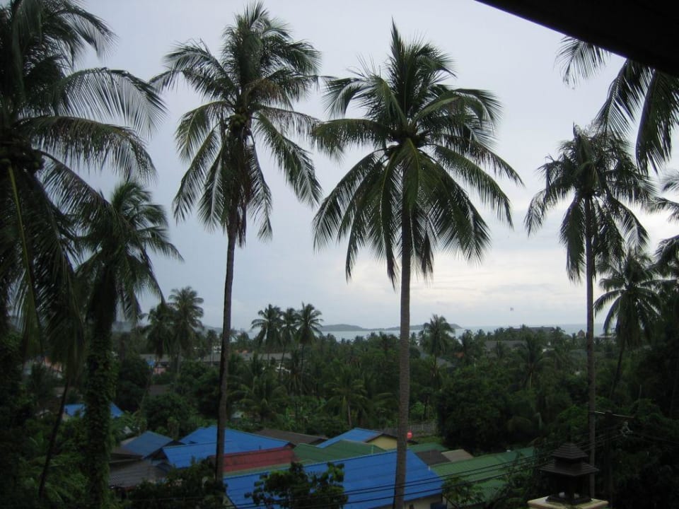 Ausblick The Fair House Beach Resort